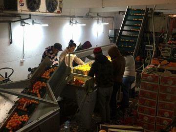 Bunker1